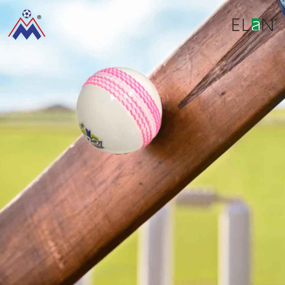 Elan T20 Ball Pack of 3 In Can Packing