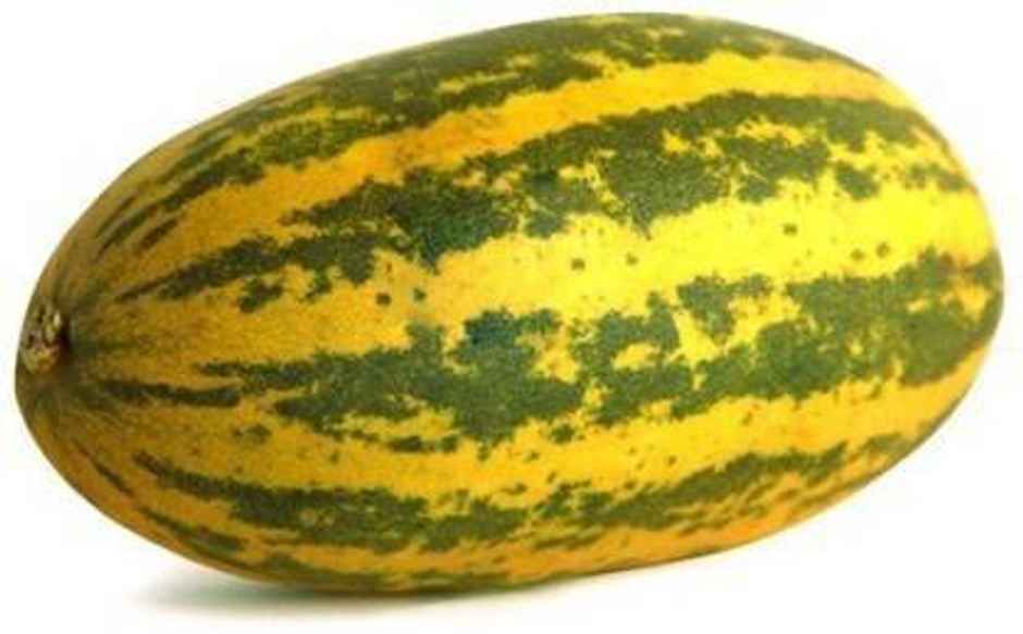 Cucumber Mangalore