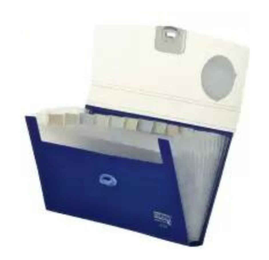 Chrome Plastic Cheque Book Expanding File (Cheque Size - Small)