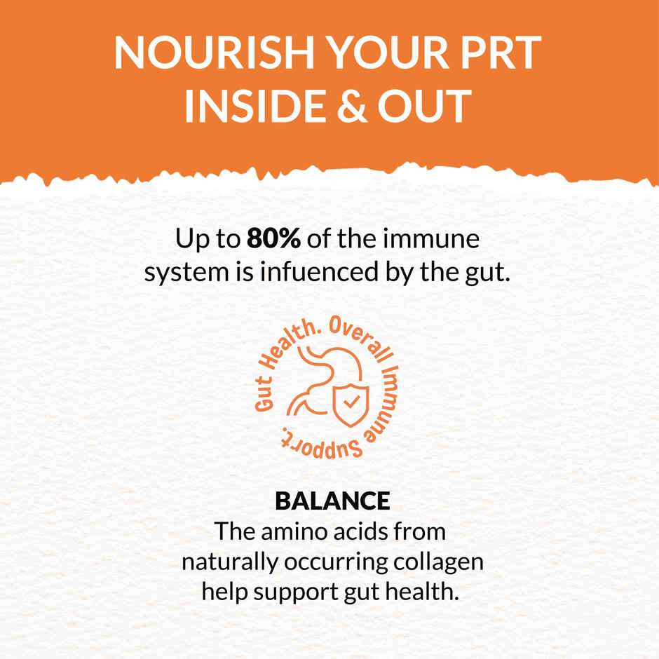 Goofy Tails Chicken Bone Broth for Cats | Collagen Rich Cat and Kitten Food Topper