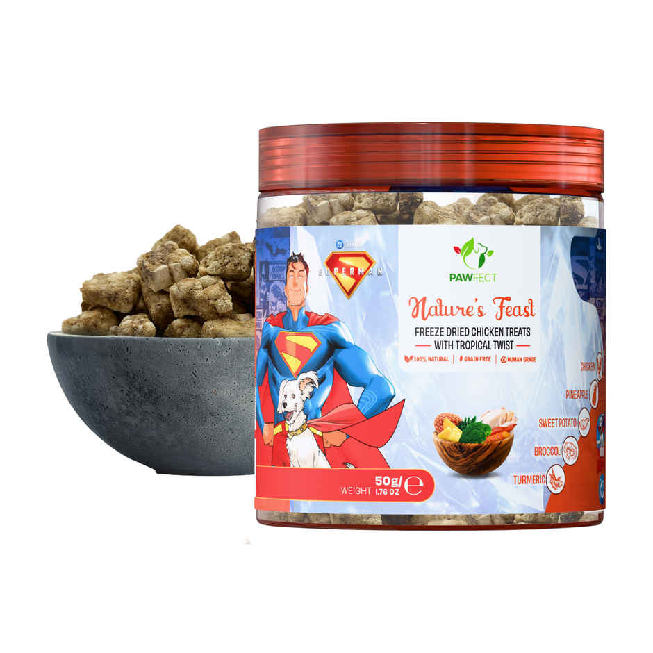 Pawfect Nature's Feast Freeze Dried Chicken Treat with Tropical Twist for Dogs | Training Treat