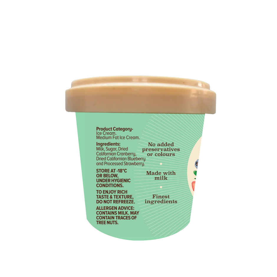 NIC Mixed Berries Ice Cream Tub Combo| Preservative Free | No Artificial Flavors