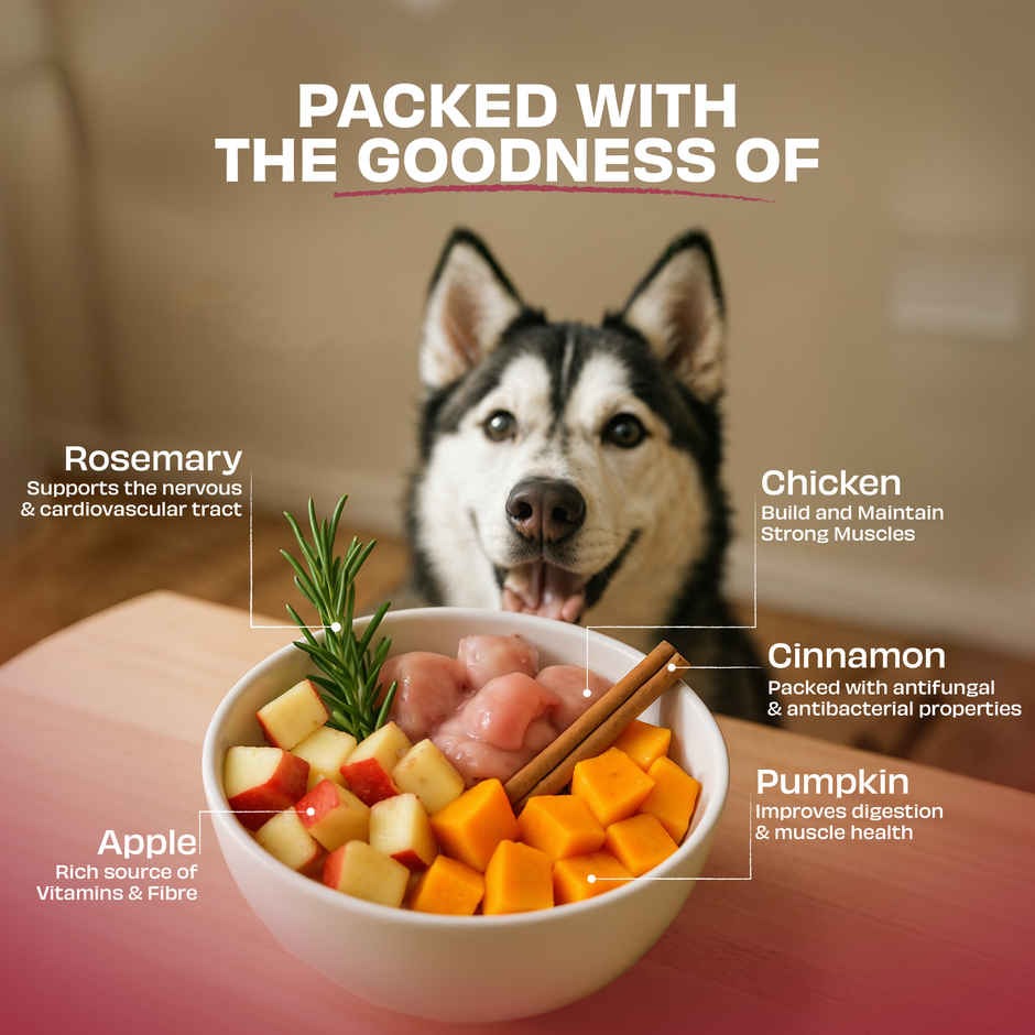Pawfect Nature Feast Freeze-Dried Chicken Dog Training & Reward Treats with Pumpkin Spice