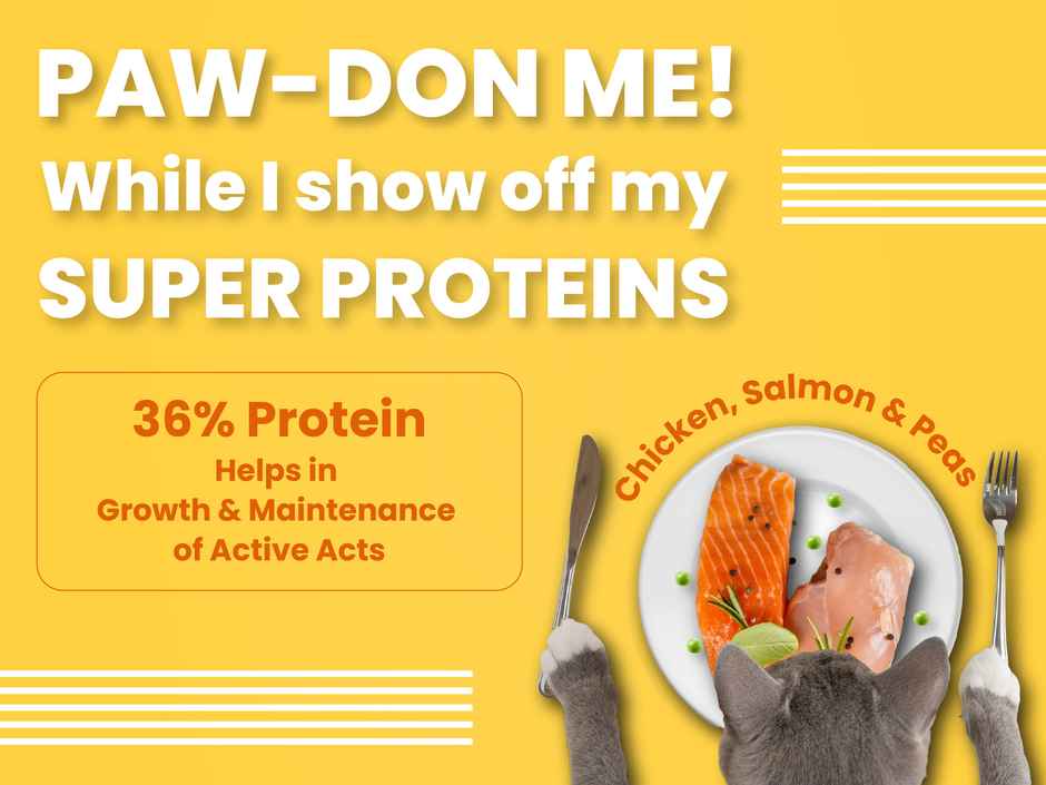 Bark Out Loud Fresh Salmon Fish & Chicken Premium Adult Cat Dry FOOD