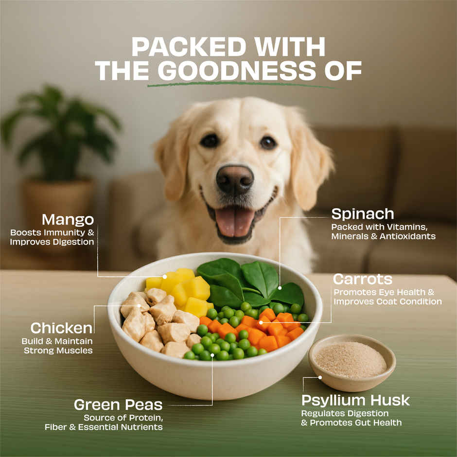 Pawfect Nature Feast Freeze-Dried Chicken Dog Training & Reward Treats with Asian Greens
