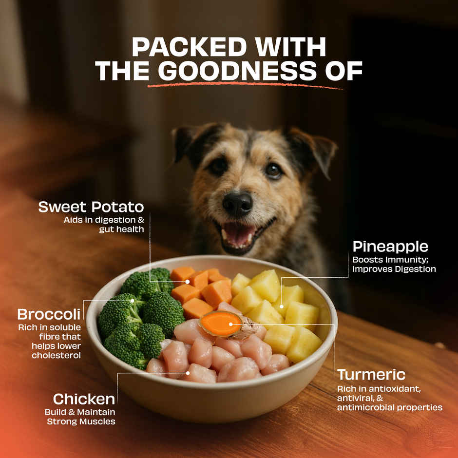 Pawfect Nature's Feast Freeze Dried Chicken Treat with Tropical Twist for Dogs | Training Treat