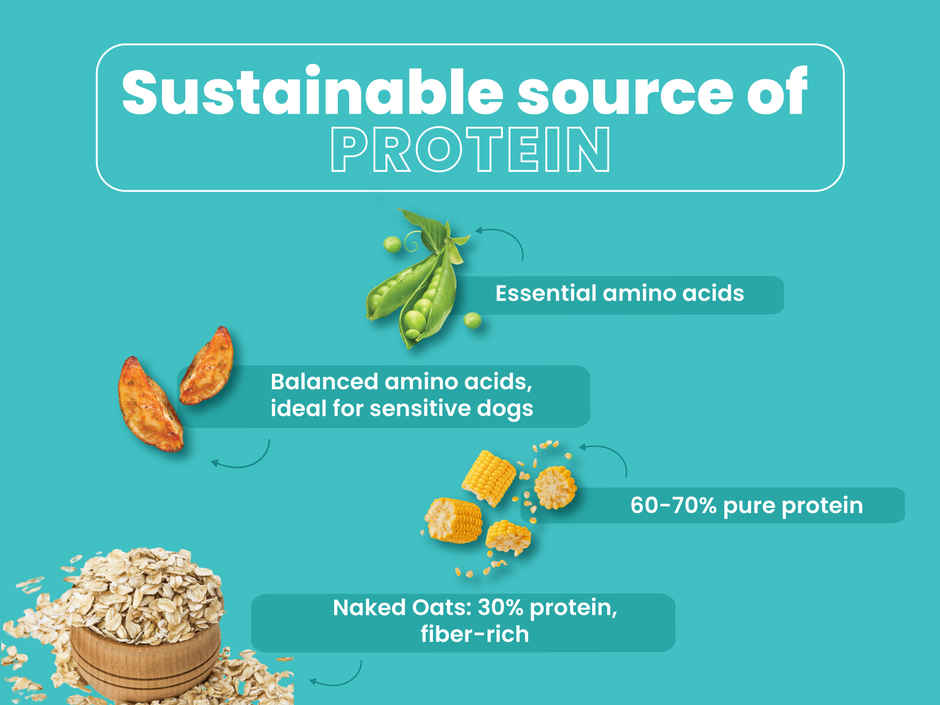 Bark Out Loud VEG Dog FOOD Naked Oats & VEGgies VEGan | Medium Large Breed