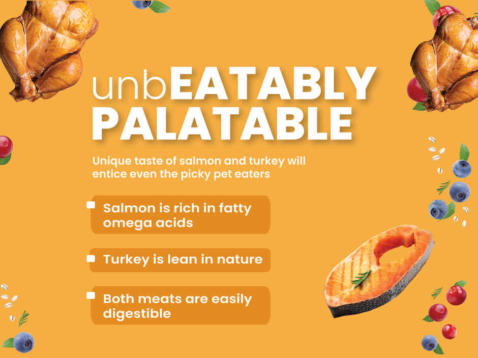 Bark Out Loud Salmon & Turkey Fish Dog FOOD | Medium Large Breed | Hypoallergenic