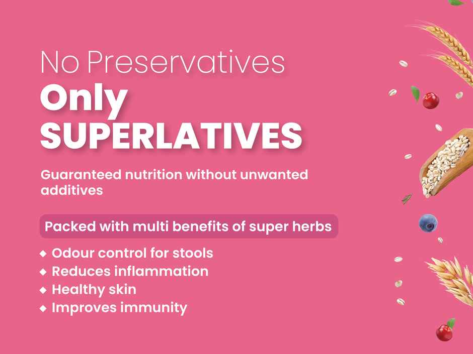 Bark Out Loud Salmon & Turkey Fish Dog FOOD | Medium Large Breed | Hypoallergenic