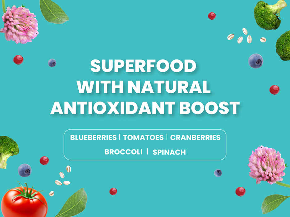 Bark Out Loud Salmon & Turkey Fish Dog FOOD | Medium Large Breed | Hypoallergenic