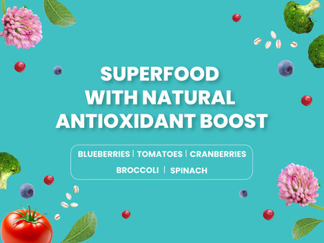 Bark Out Loud Salmon & Turkey Fish Dog FOOD | Medium Large Breed | Hypoallergenic