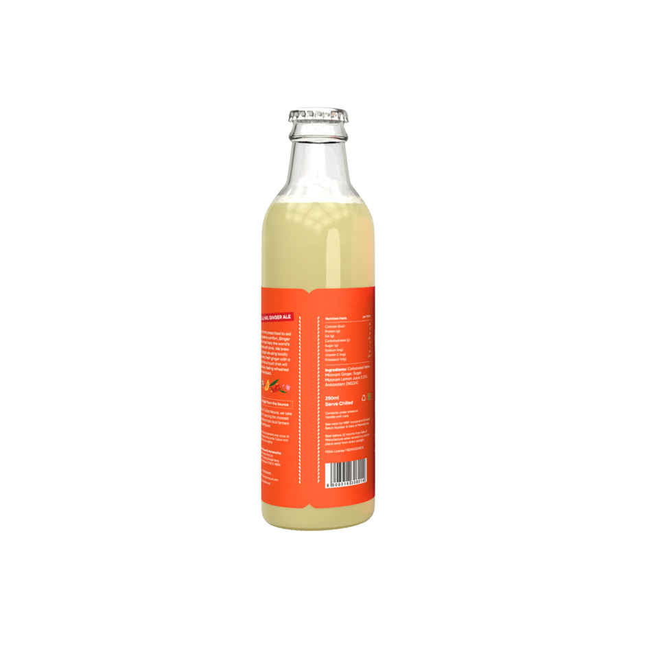 Local All Natural Soda Ginger Ale