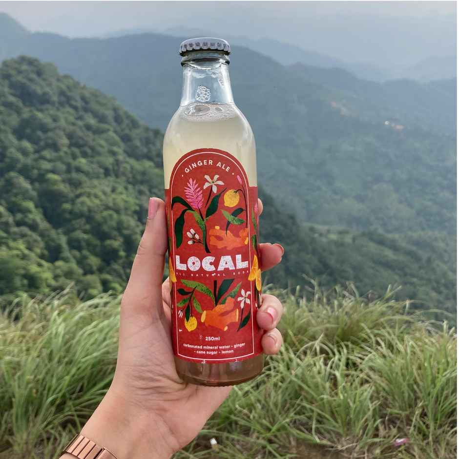 Local All Natural Soda Ginger Ale