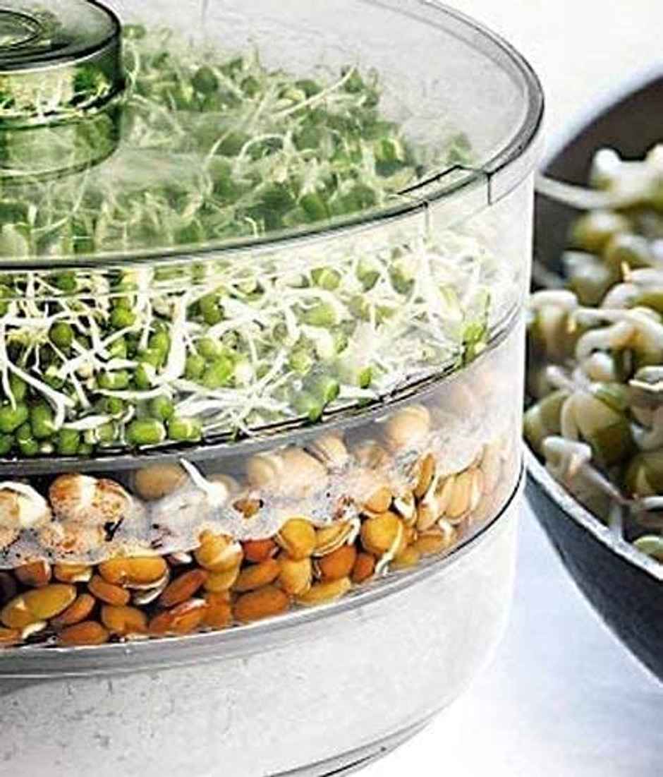 YouBee Sprout Maker with 4 Compartments | 4 Layer