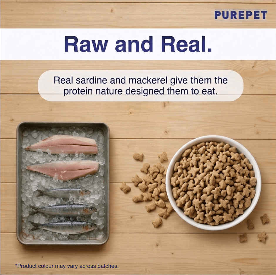 Purepet Ocean Fish Adult Dry Cat Food