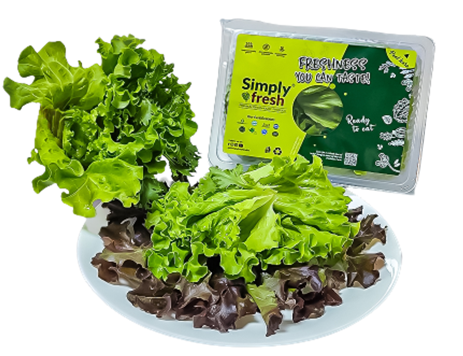 Lettuce Salad Box Mix
