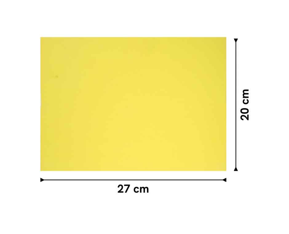 Paperbees A3 Color Paper Sheet | 10 Vibrant Colors | 120 GSM | Best for Art & Craft