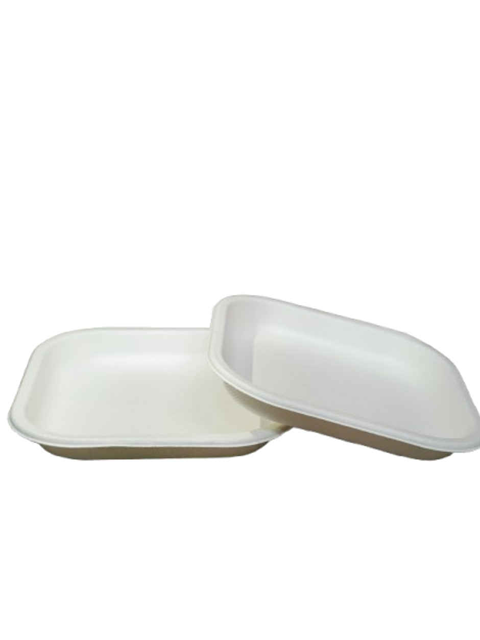 Disposable Square Plate | 6 inch | Pack of 25 | Sn Cd 5.5 | Antzco