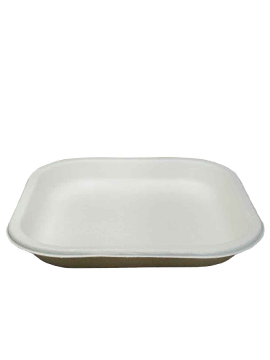 Disposable Square Plate | 6 inch | Pack of 25 | Sn Cd 5.5 | Antzco