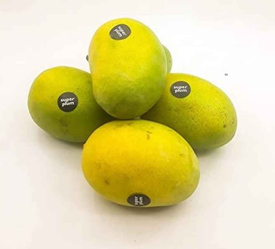 Superplum Mango Langda	