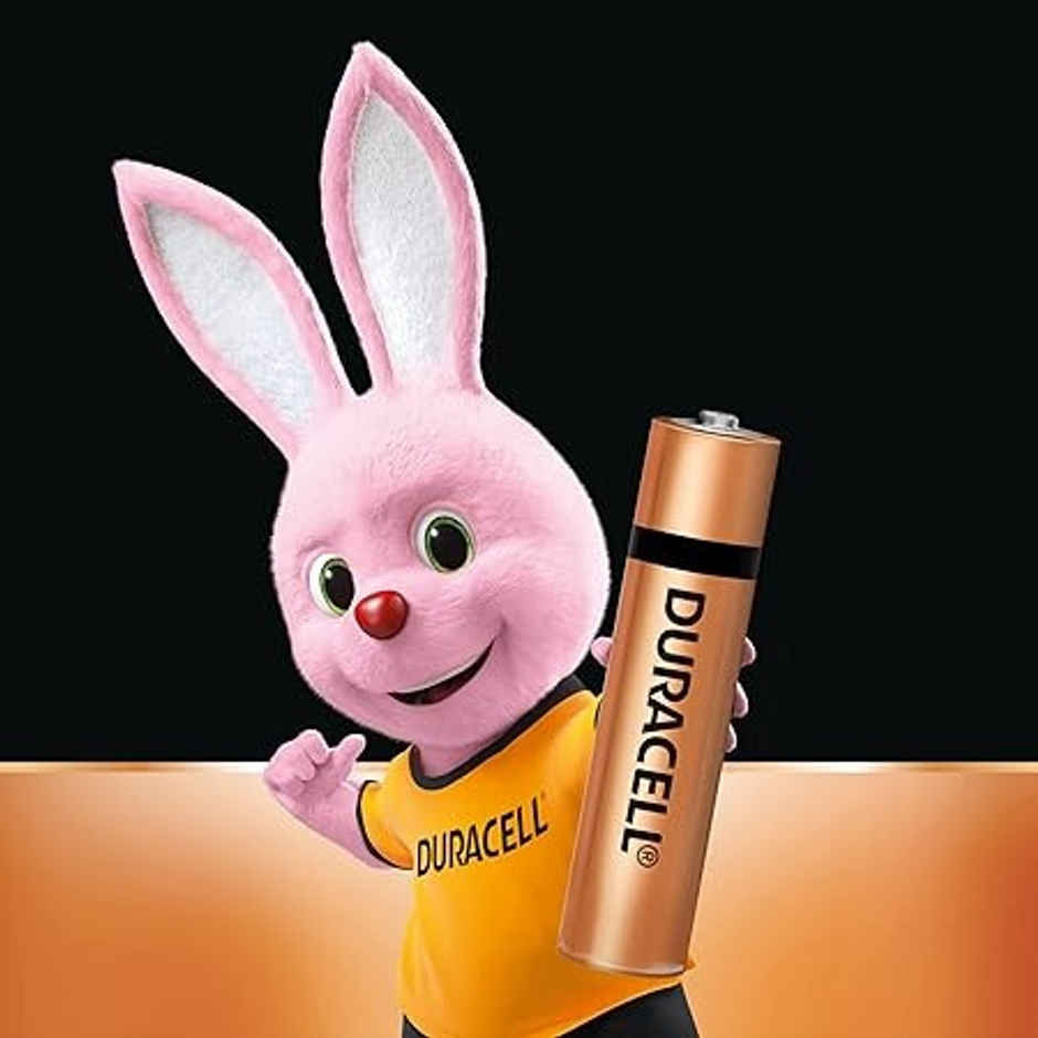 Duracell Alkaline AAA Batteries | Pack of 20