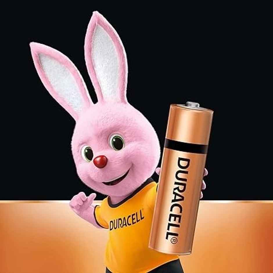Duracell Alkaline AA Batteries | Pack of 20