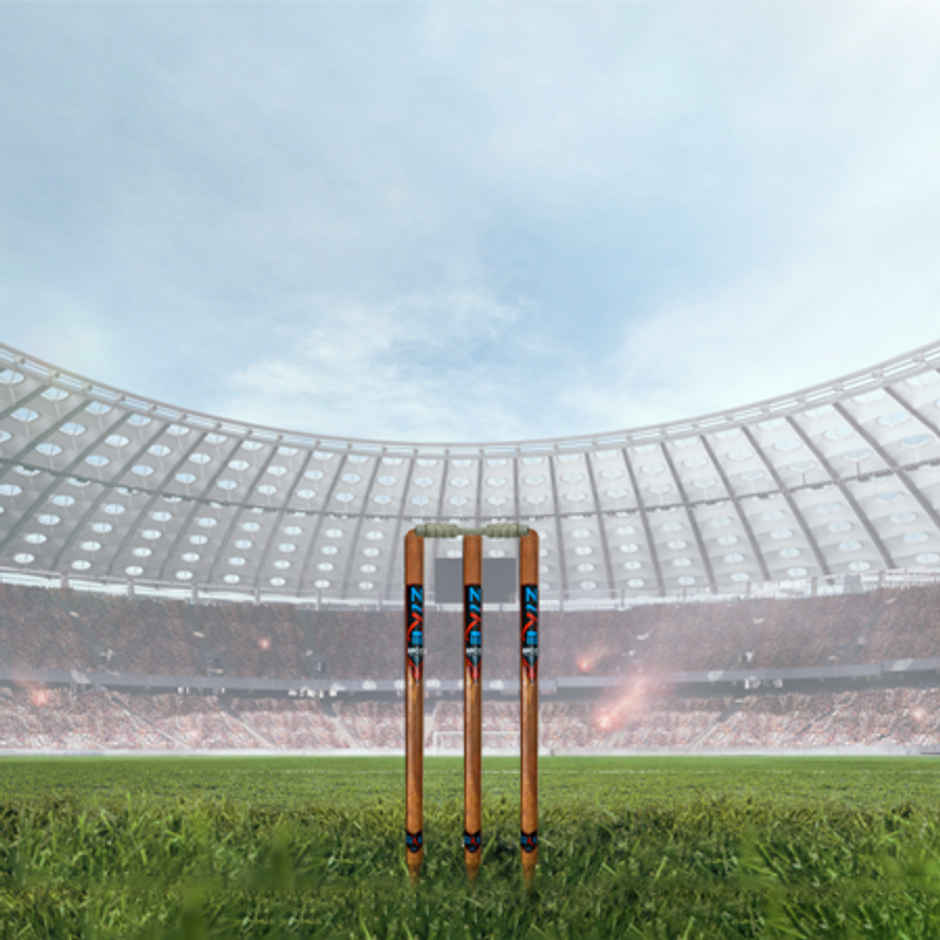 Zike Wooden Cricket Stumps with Bails (3 Piece Wooden wickets, 2 Piece bails)