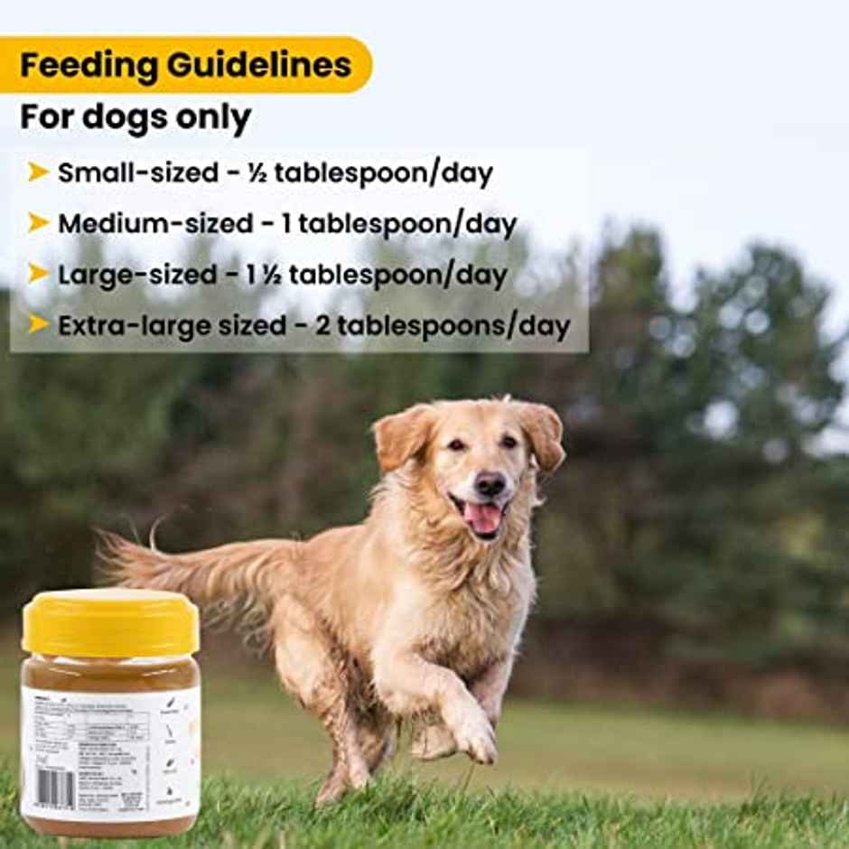 Wiggles Dog Peanut Butter