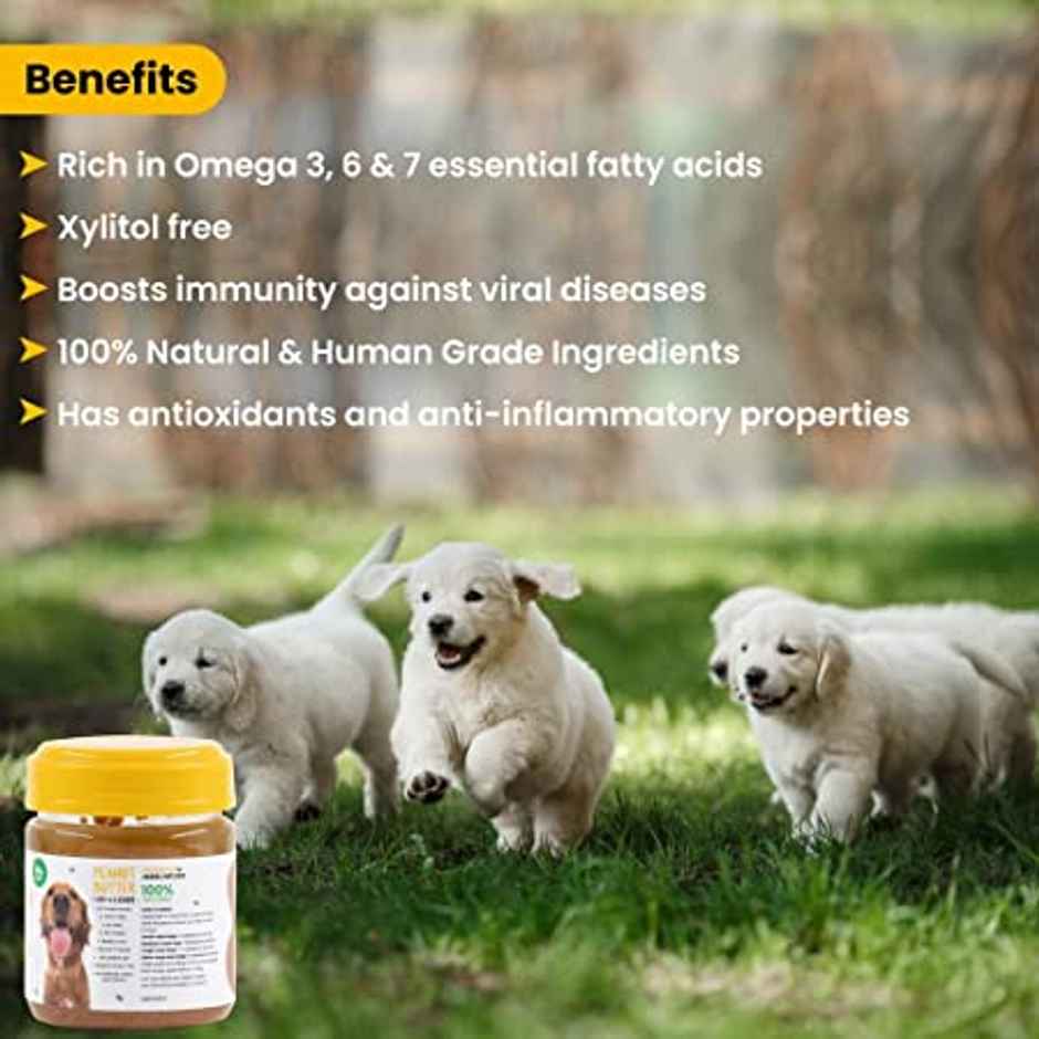 Wiggles Dog Peanut Butter