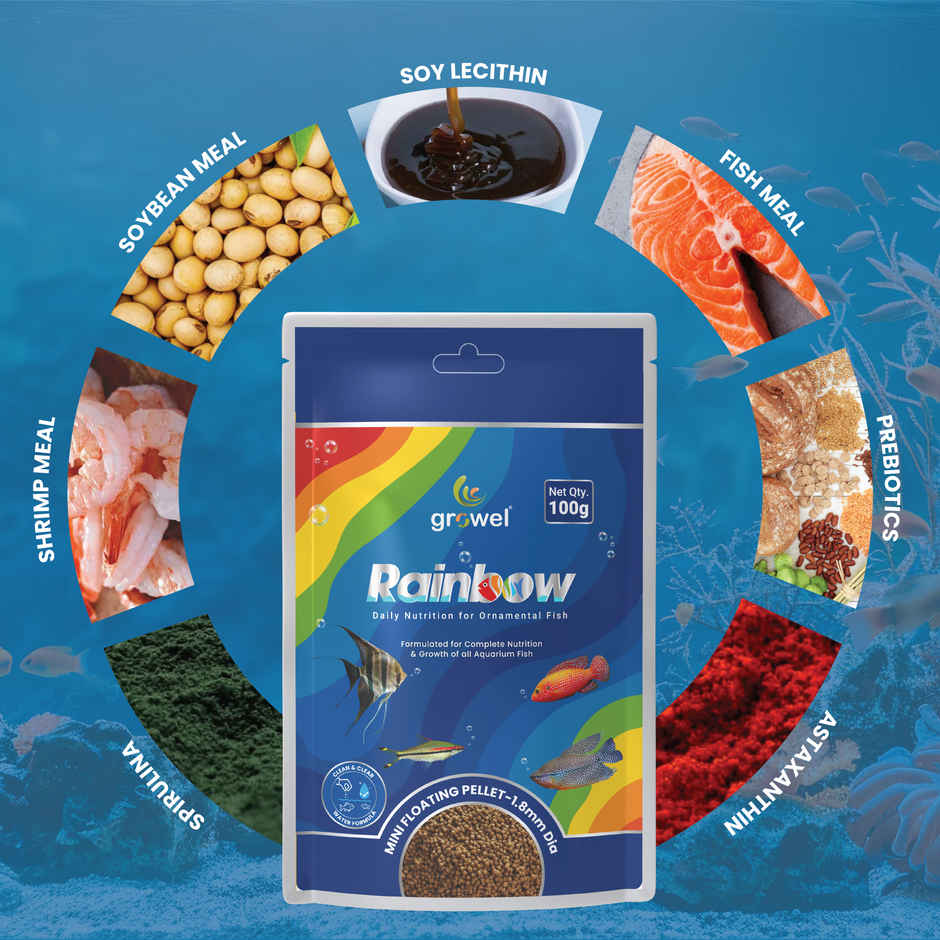 Growel Rainbow Mini Floating Pellets | Highly Digestible & Nutritious Fish Food