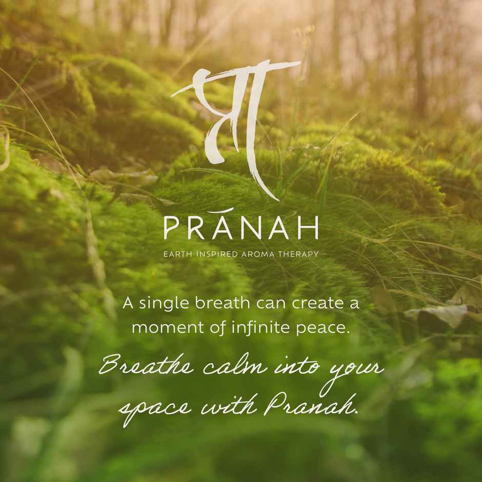 Pranah Cosmic Vibes | Bhoomi | Incense Sticks | 30 Sticks