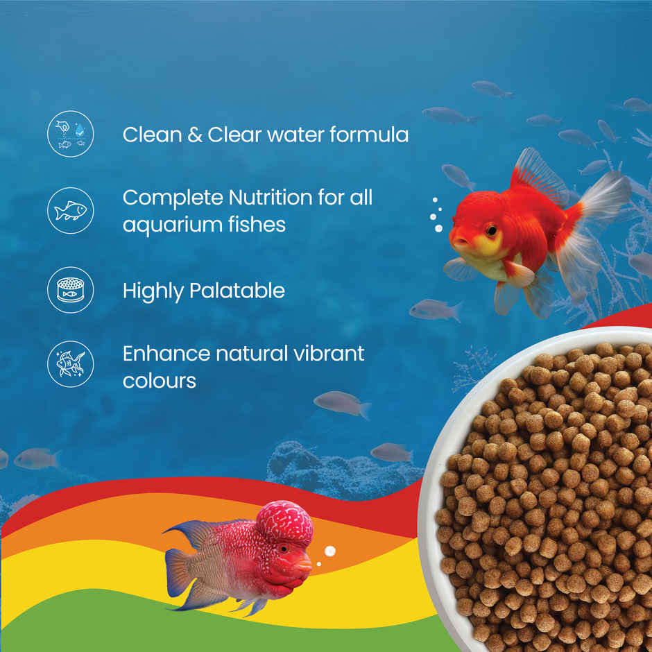 Growel Rainbow Small Floating Pellets | Highly Digestible & Nutritious Fish Food