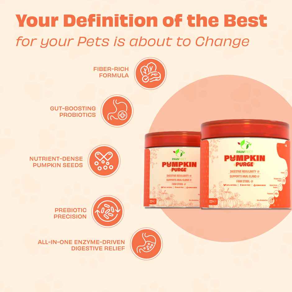 Pawfect Pumpkin Purge Daily Food Topper for Dogs for Gut Health & Bowel Movement