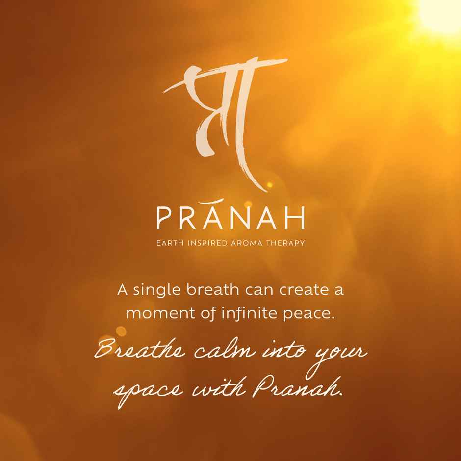 Pranah Cosmic Vibes | Suryakriya | Incense Sticks | 30 Sticks