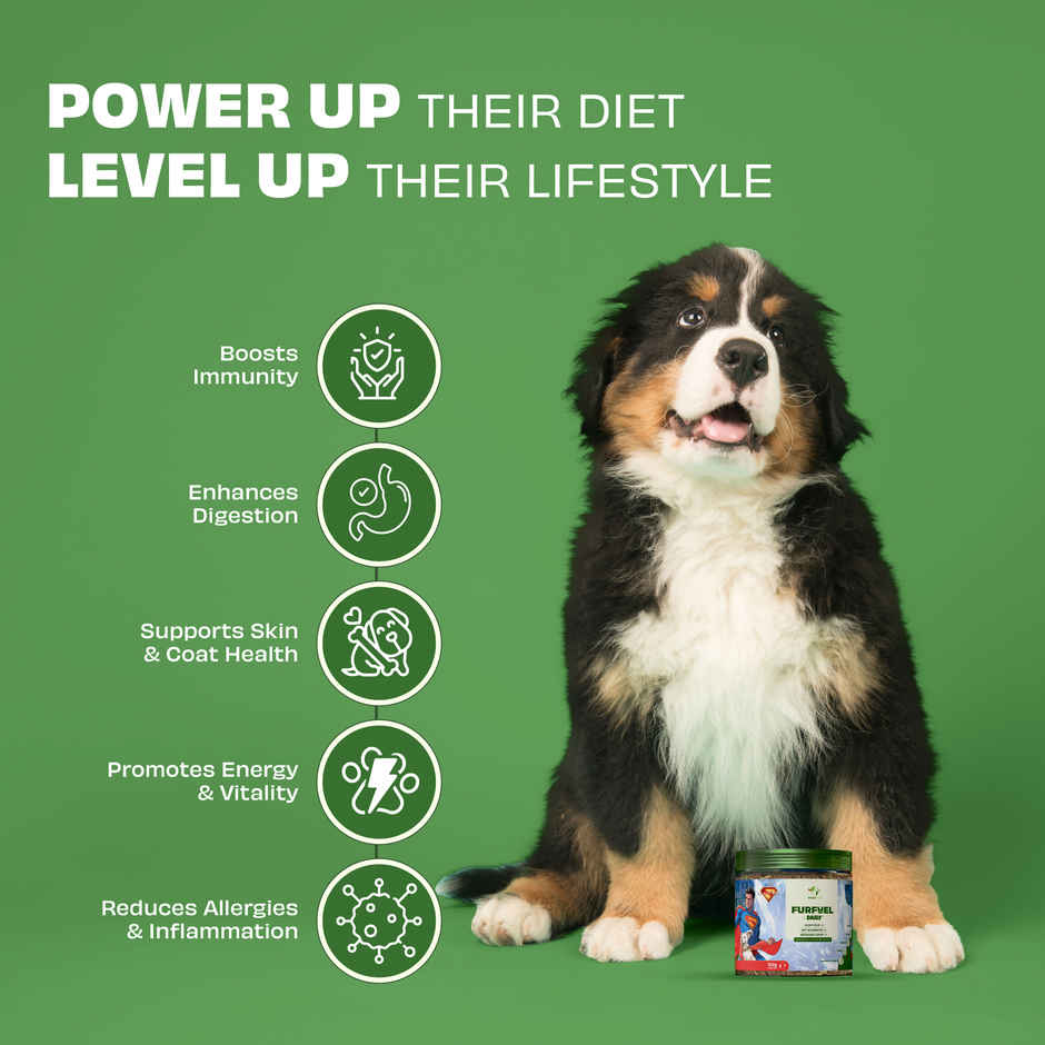 Pawfect Furfuel Daily Allergy Relief Food Topper for Dogs