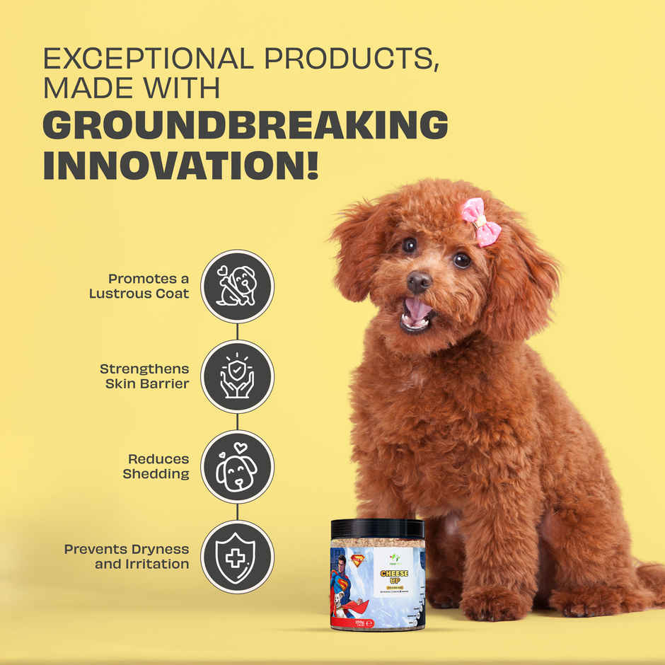 Pawfect Cheese Up Skin & Coat Boost Daily Food Topper for Dogs