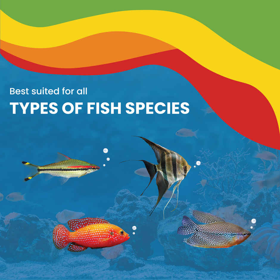Growel Rainbow Mini Floating Pellets | Highly Digestible & Nutritious Fish Food