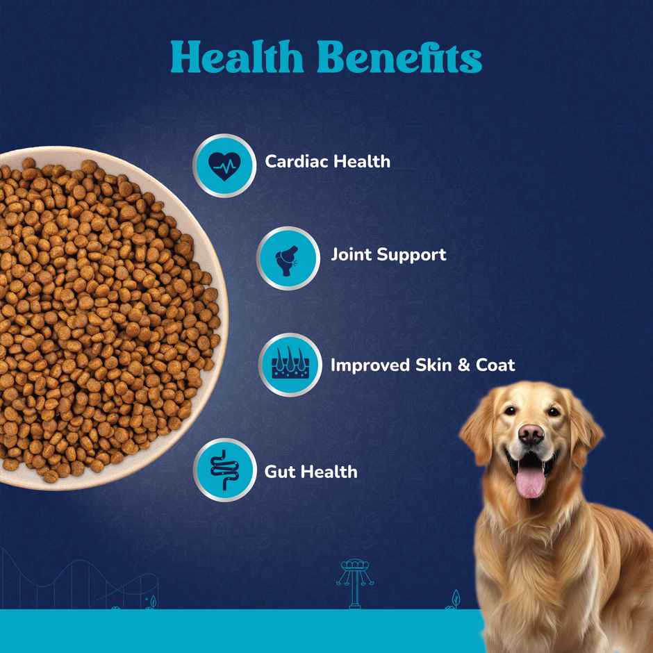 Carniwel Fresh Lamb Dry Dog Food For Large Breed | Adult