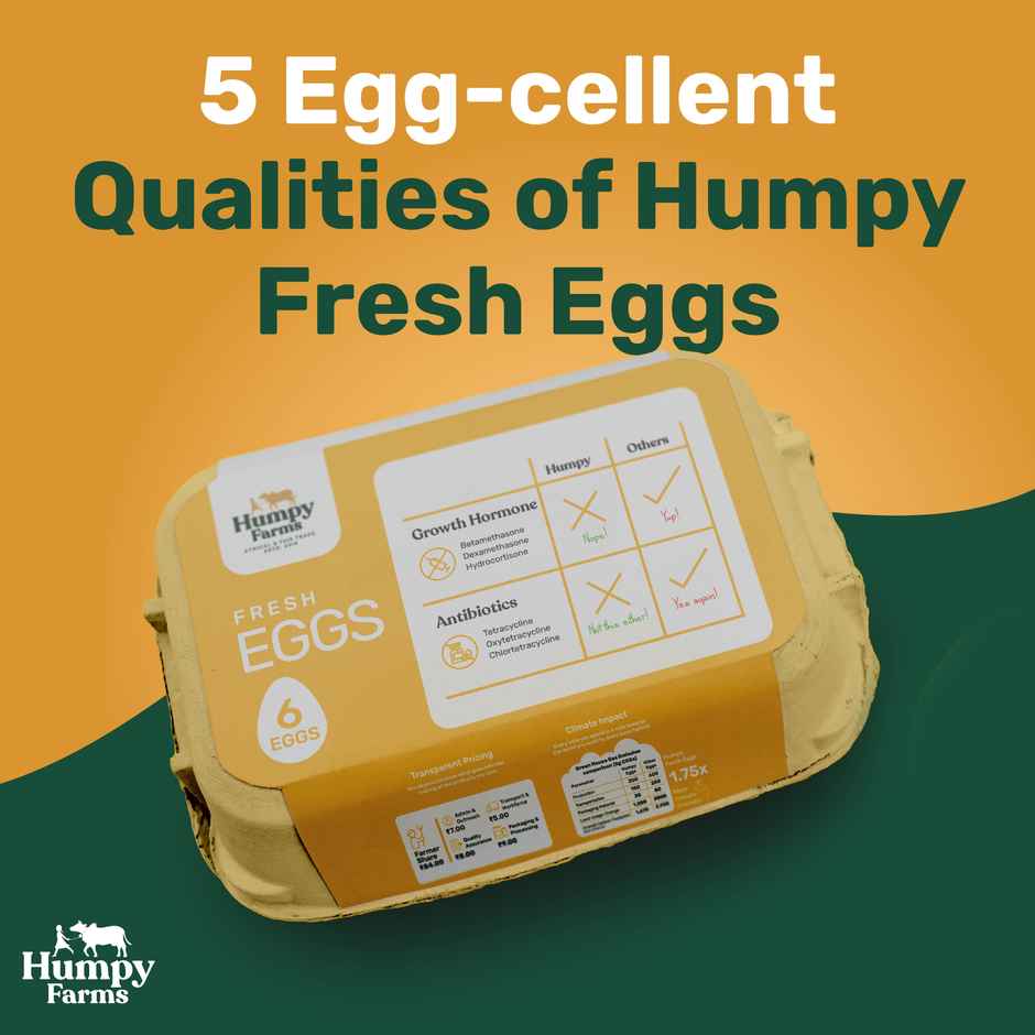 Humpy Farms Antibiotics Free Eggs