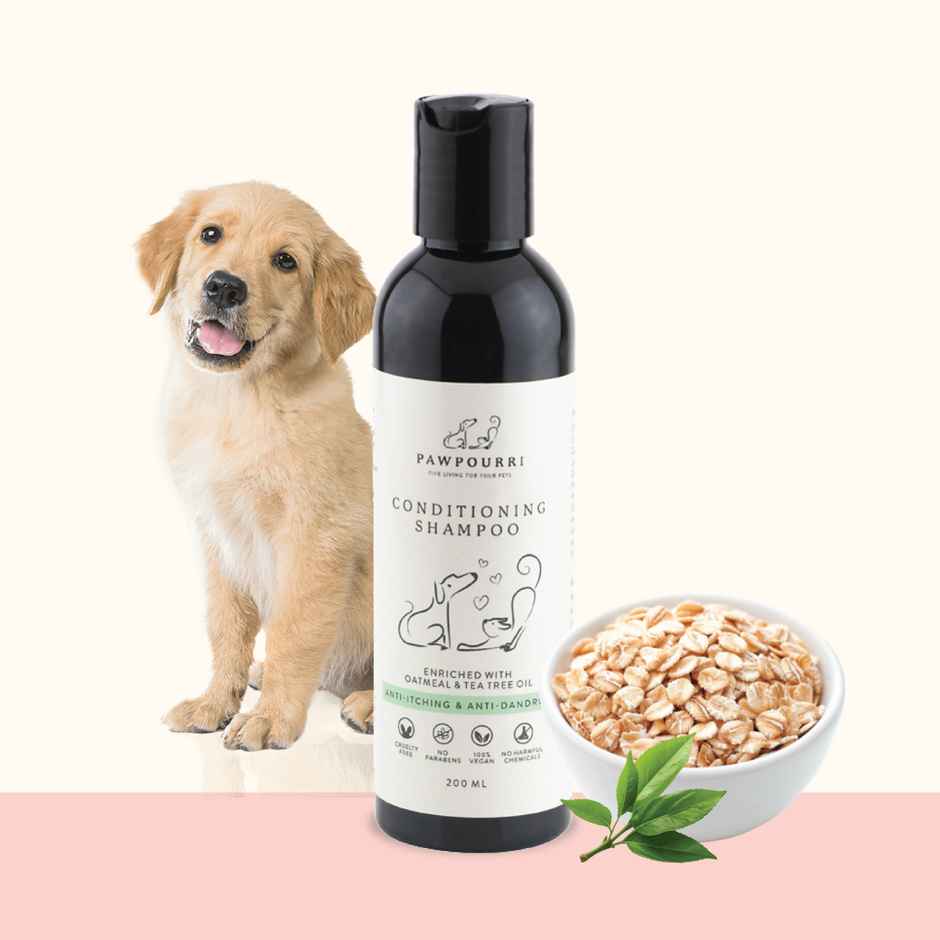 Pawpourri Dog Conditioning Shampoo | Anti-Itch and Anti-Bacterial