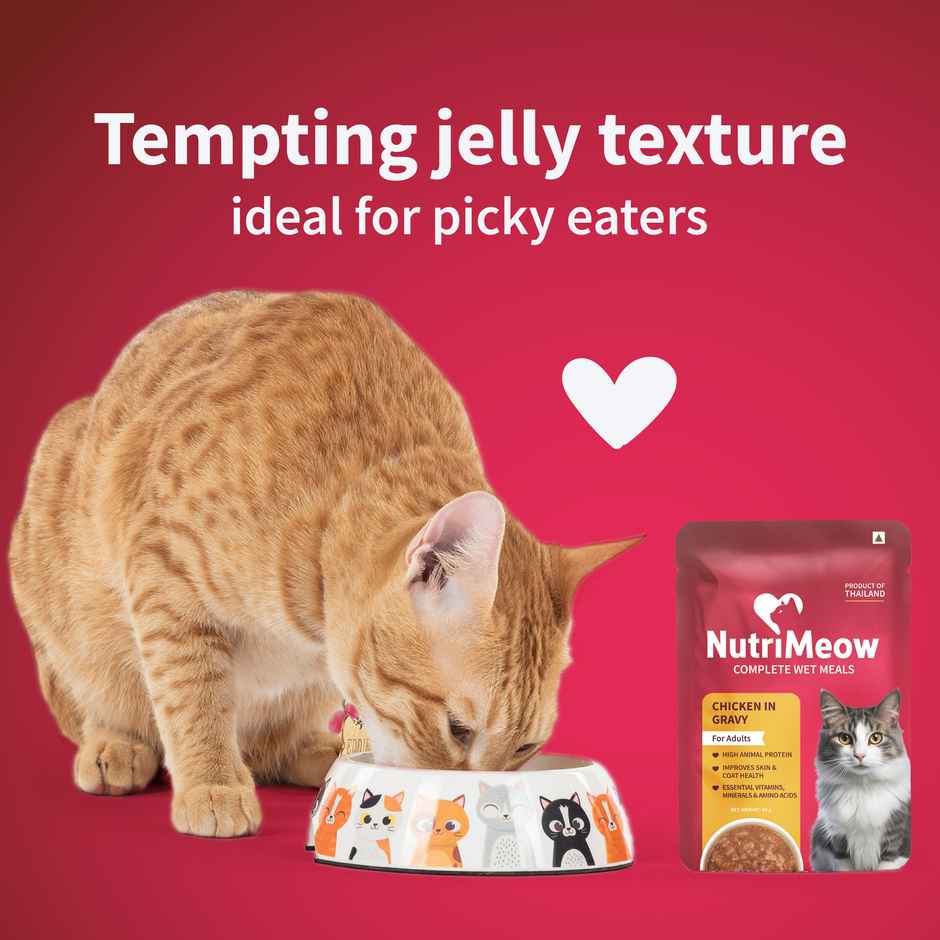 NutriMeow Chicken In Gravy Adult Cat Wet Food