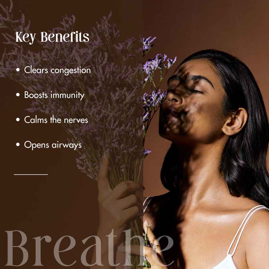 Secret Alchemist Breathe Roll on for Nasal Congestion, Sinus & Seasonal Allergies with Eucalyptus