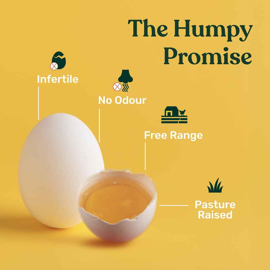 Humpy Farms Antibiotics Free Eggs