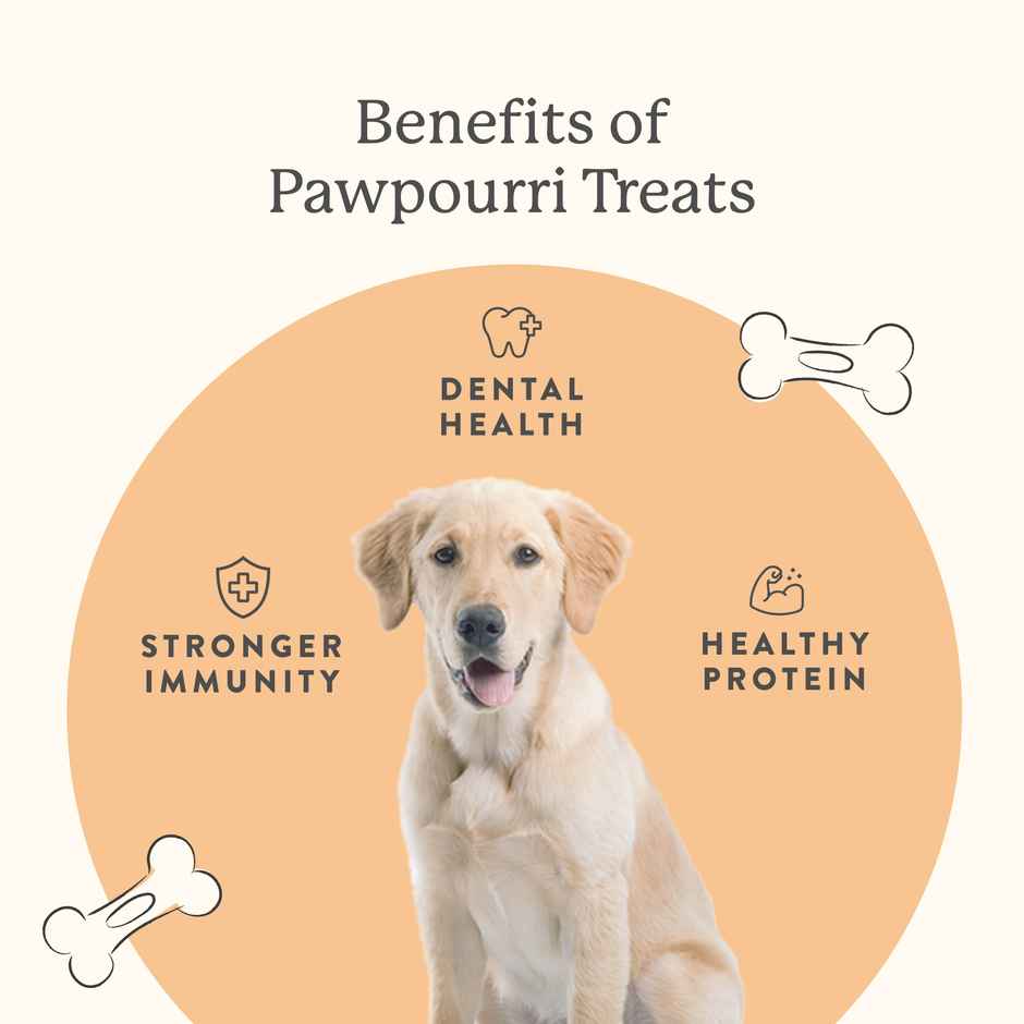 Pawpourri Natural Dog Treats - Chicken Neck