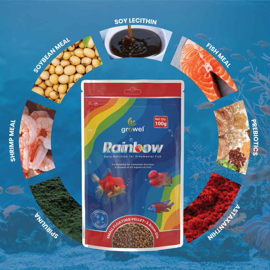 Growel Rainbow Small Floating Pellets | Highly Digestible & Nutritious Fish Food