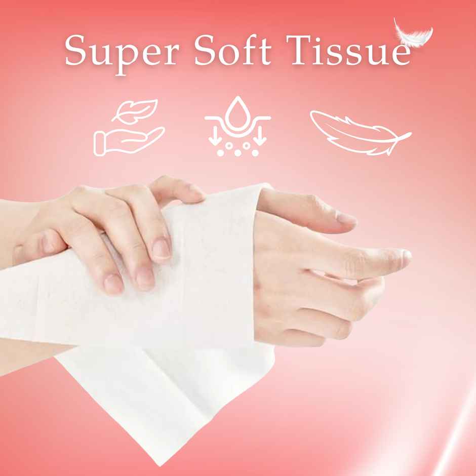 EZEE Facial Tissue Paper Pack | 400 Pulls | Carbox | 2ply - Assorted