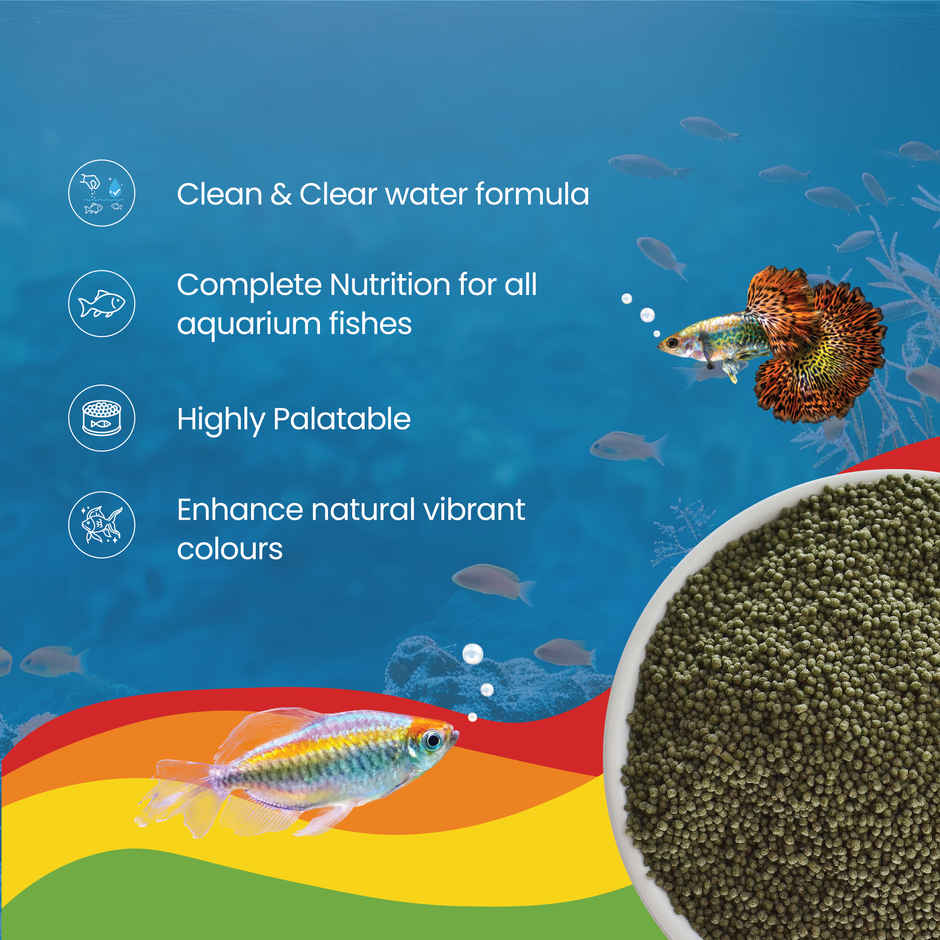 Growel Rainbow Micro Floating Pellets | Highly Digestible & Nutritious Fish Food