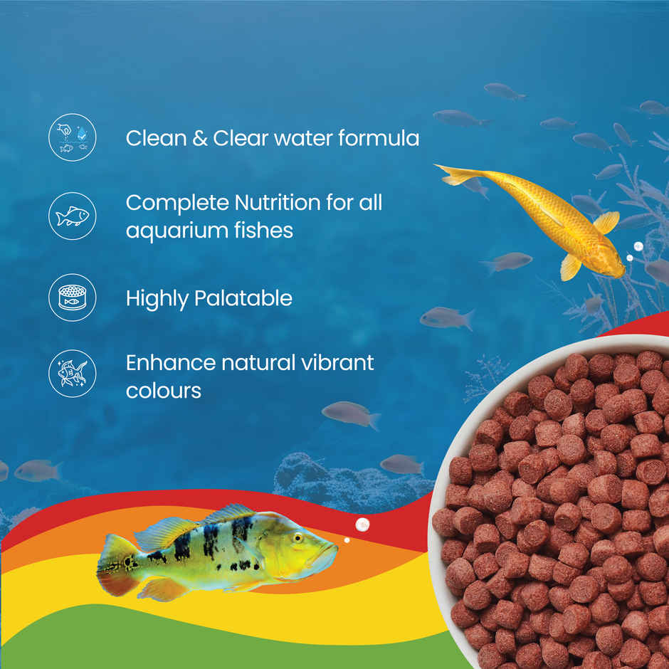 Growel Rainbow Medium Floating Pellets | 5.5mm Pellet Size | Highly Digestible & Nutritious