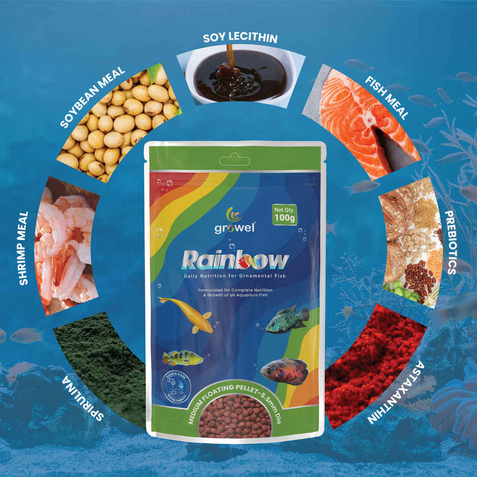 Growel Rainbow Medium Floating Pellets | 5.5mm Pellet Size | Highly Digestible & Nutritious