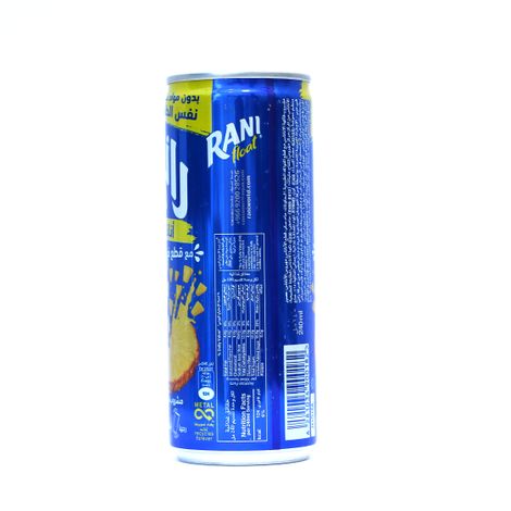 Rani Imported Pineapple Fruit Juice
